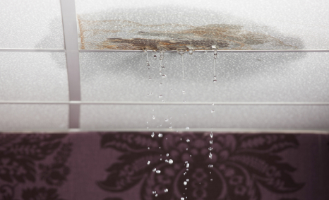 Plumber Winston Hills